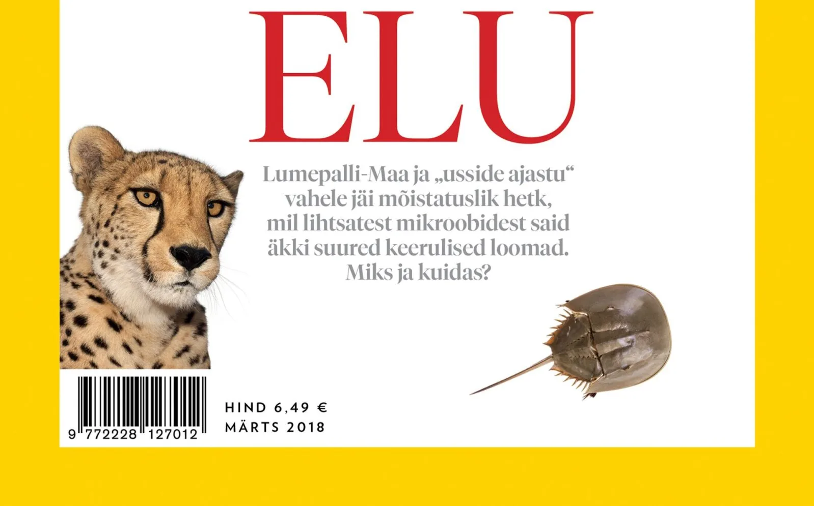 Kui elu läks keeruliseks ehk ediakaara mõistatus