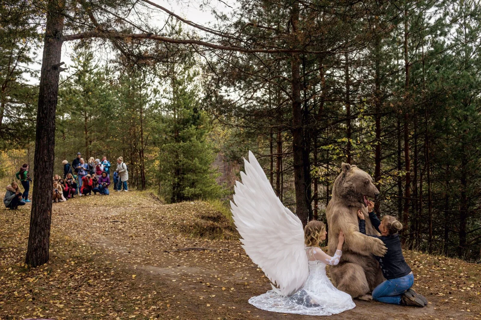 Erkki Peetsalu: Vaikuse meri kullapalaviku eel