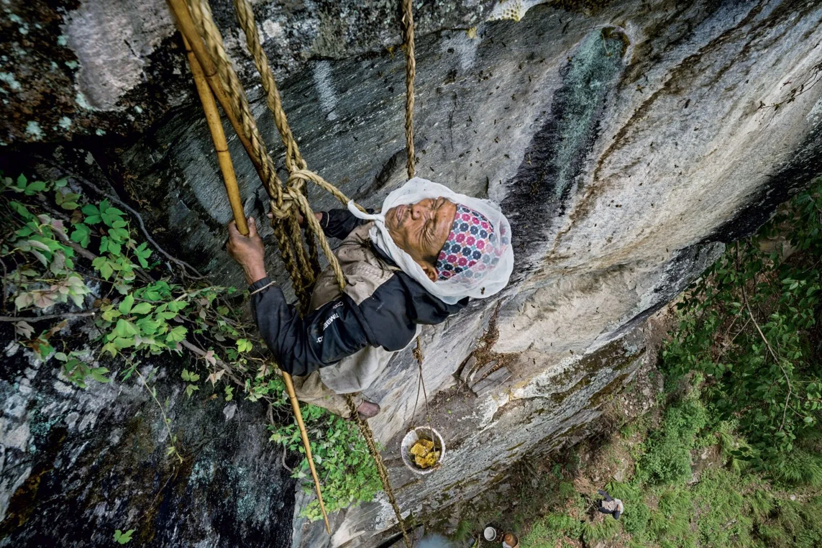 Nepali viimane meekütt