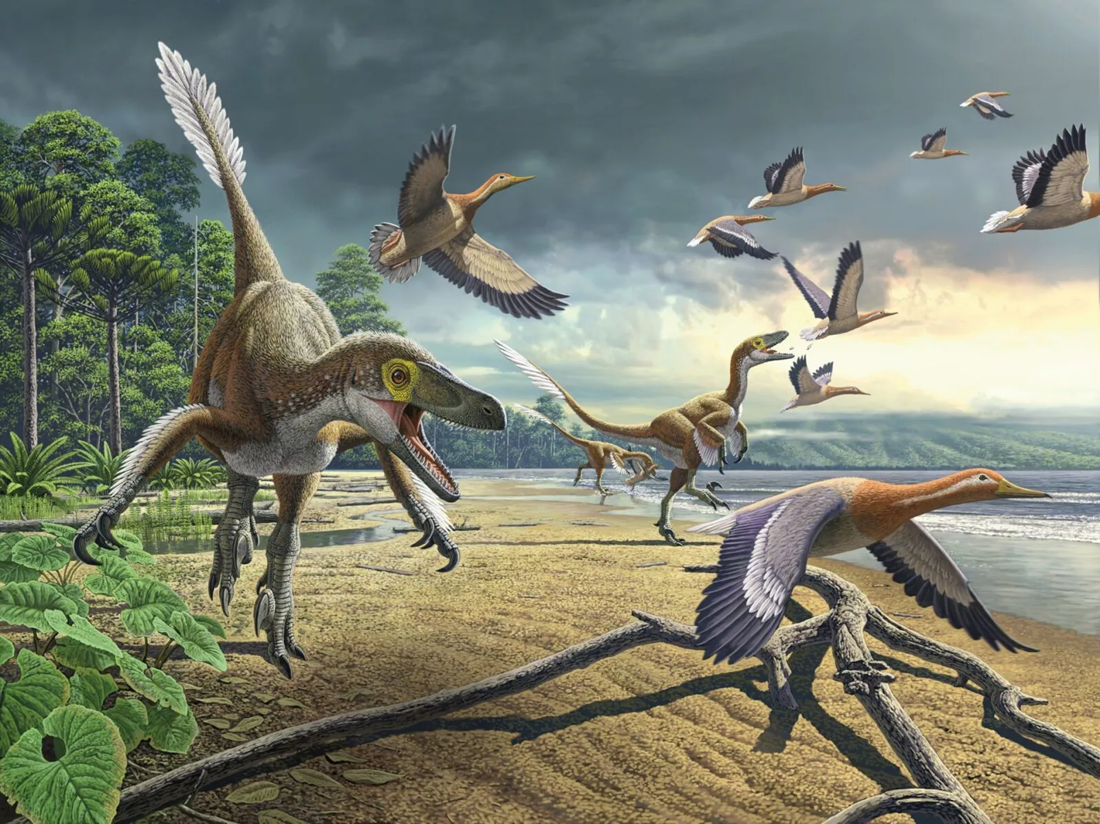 Dinosaurused, kes jäid ellu ehk lindude arengulugu