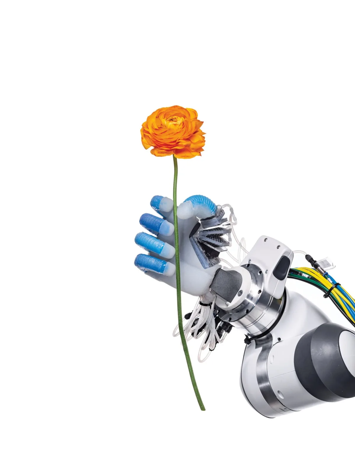 Robotid_on_kohal: kuidas_meie_elu_muutub?