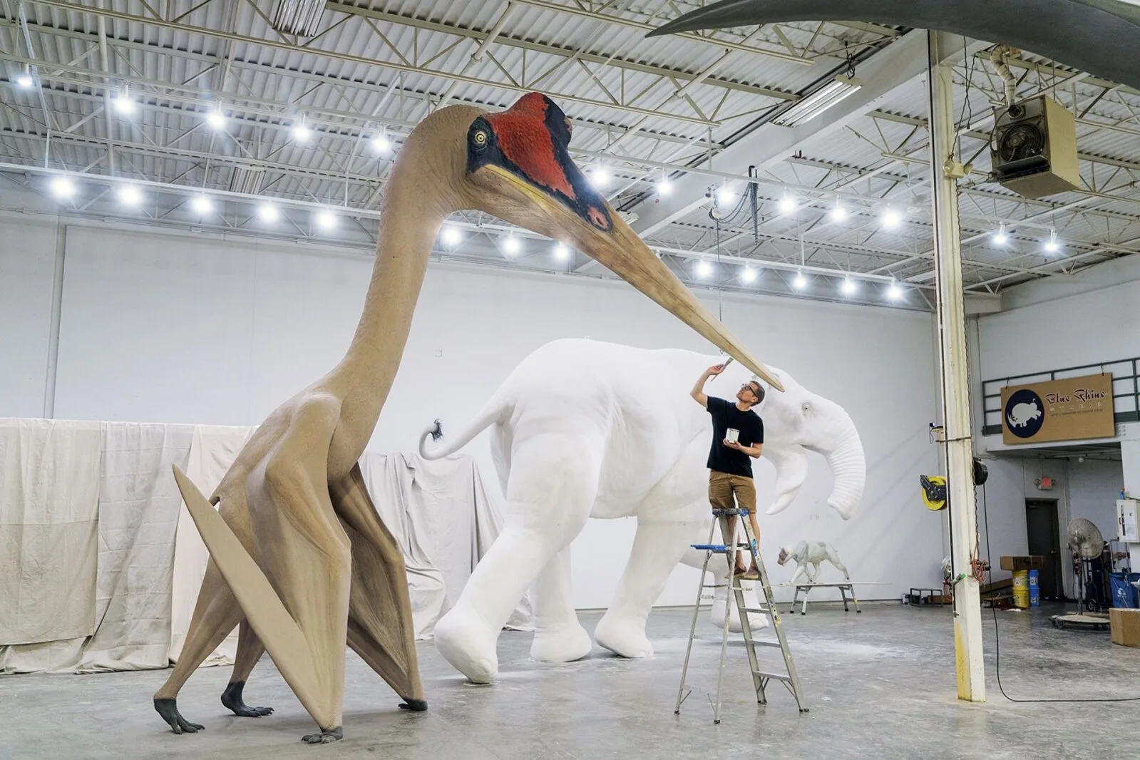 Pterosaurus - veidraim tiivuline olend minevikust