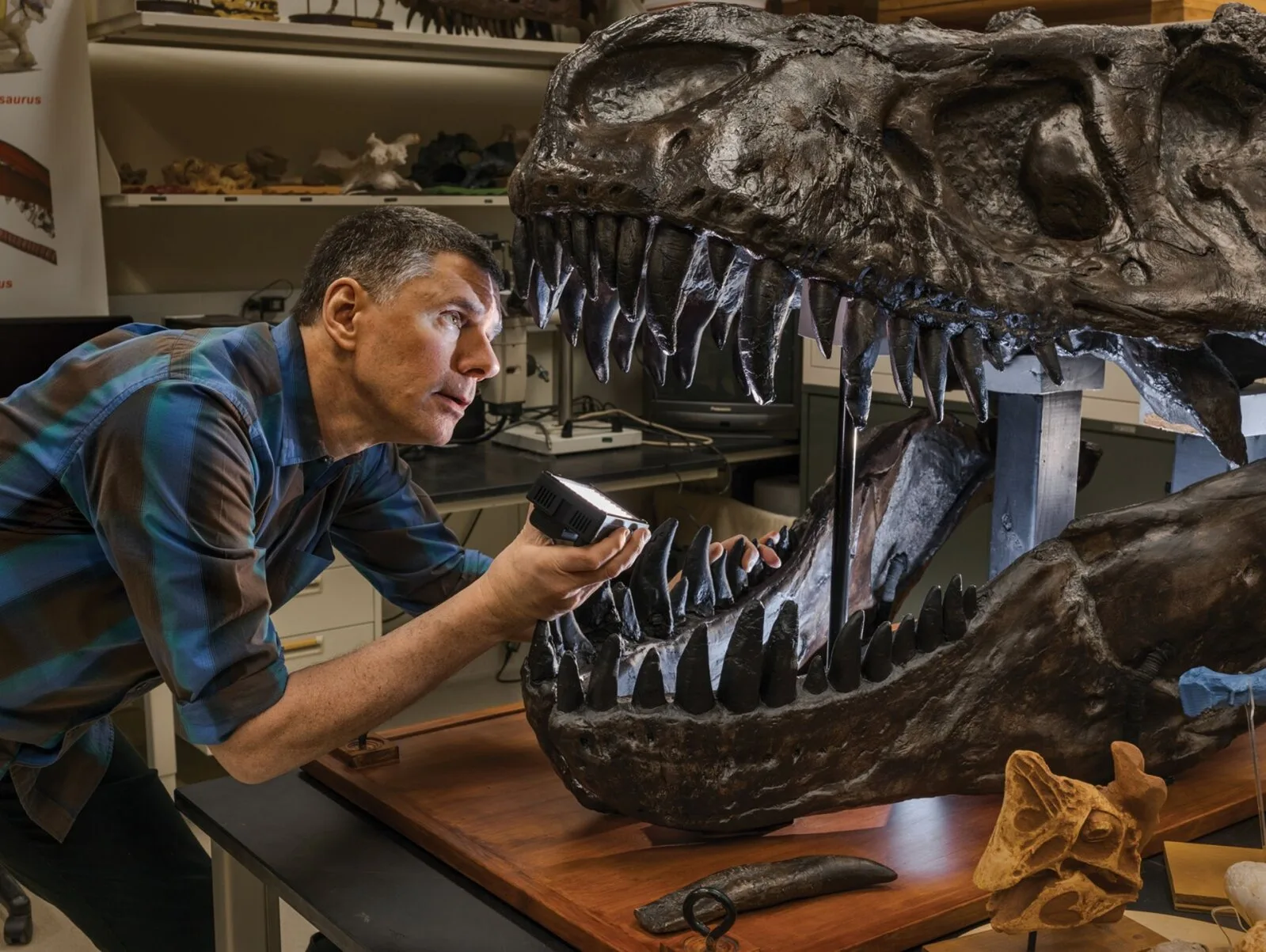 Teadlaste uus nägemus dinosaurustest