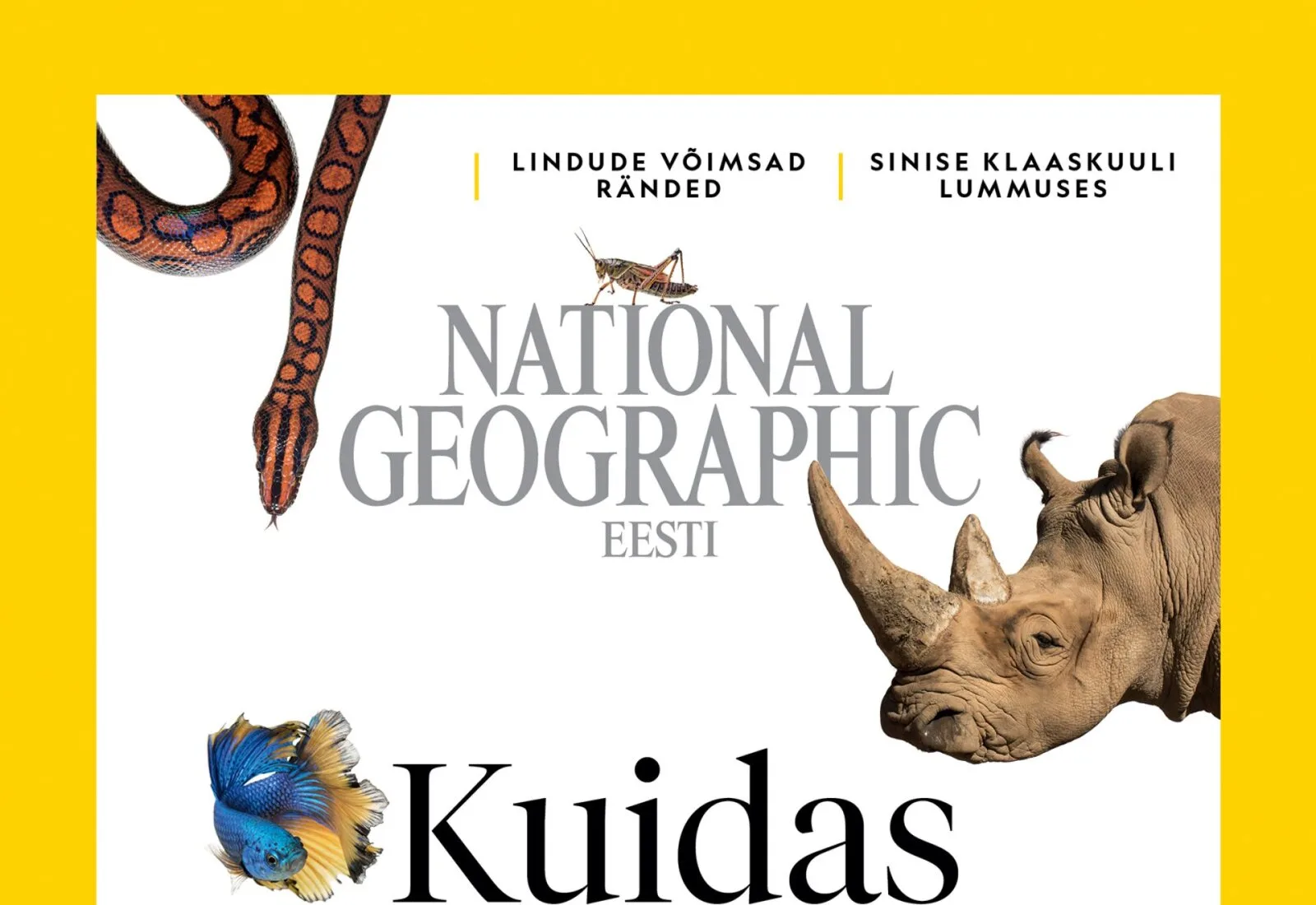 Kui elu läks keeruliseks ehk ediakaara mõistatus
