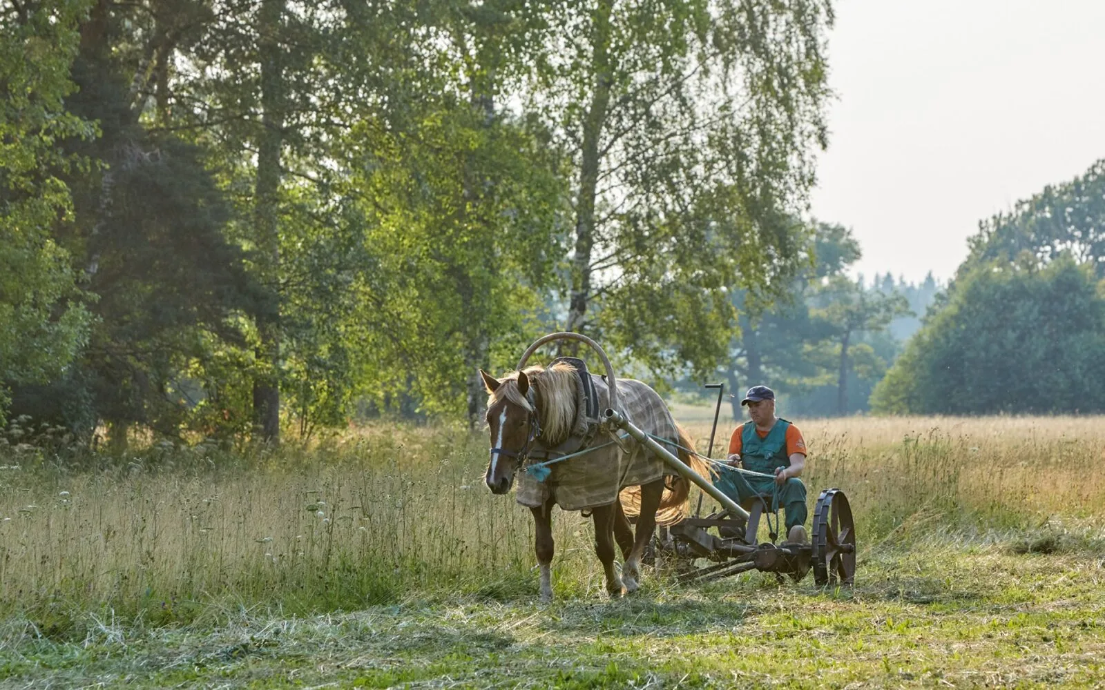 Puhas loodus, Lõuna-Eesti rikkus